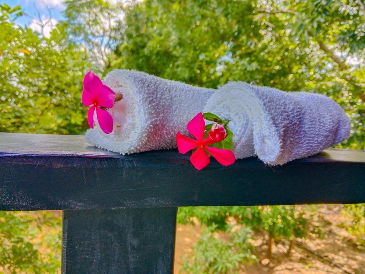 Ceylon Amigos Eco Resort Sigiriya Luaran gambar