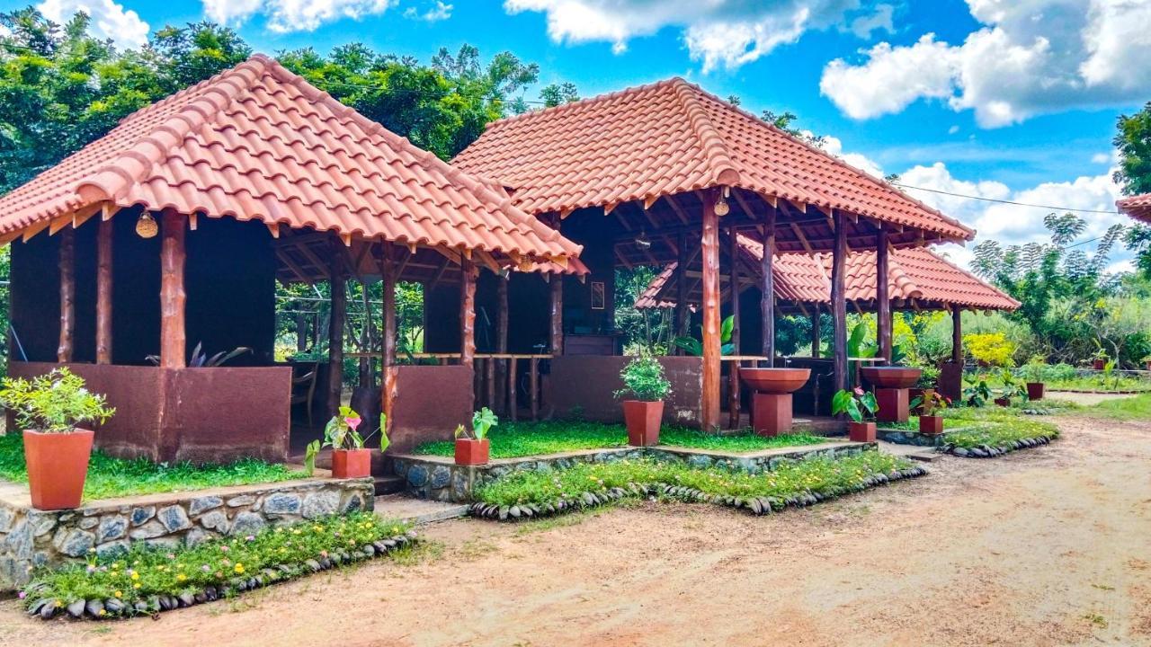Ceylon Amigos Eco Resort Sigiriya Luaran gambar