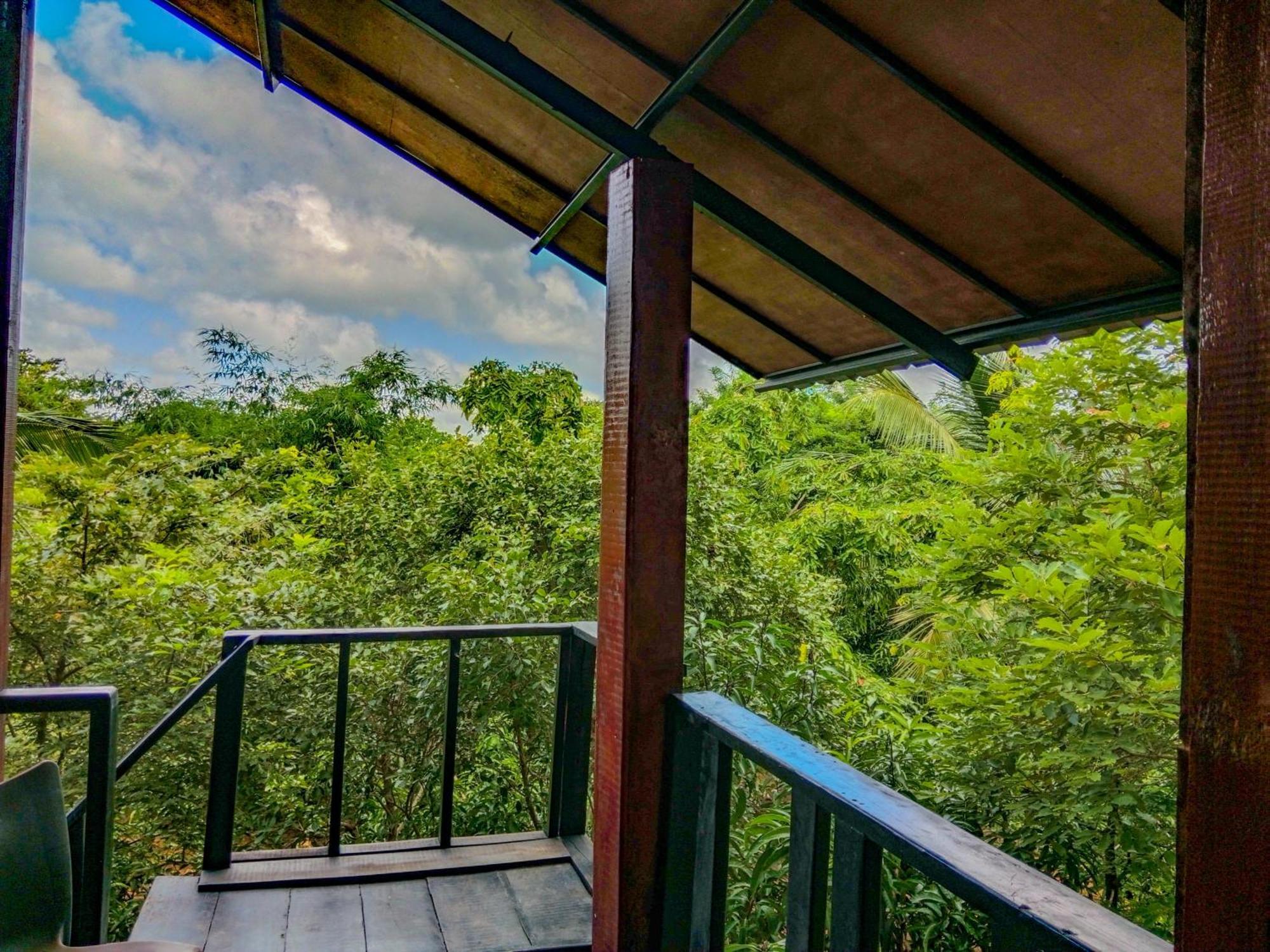 Ceylon Amigos Eco Resort Sigiriya Luaran gambar
