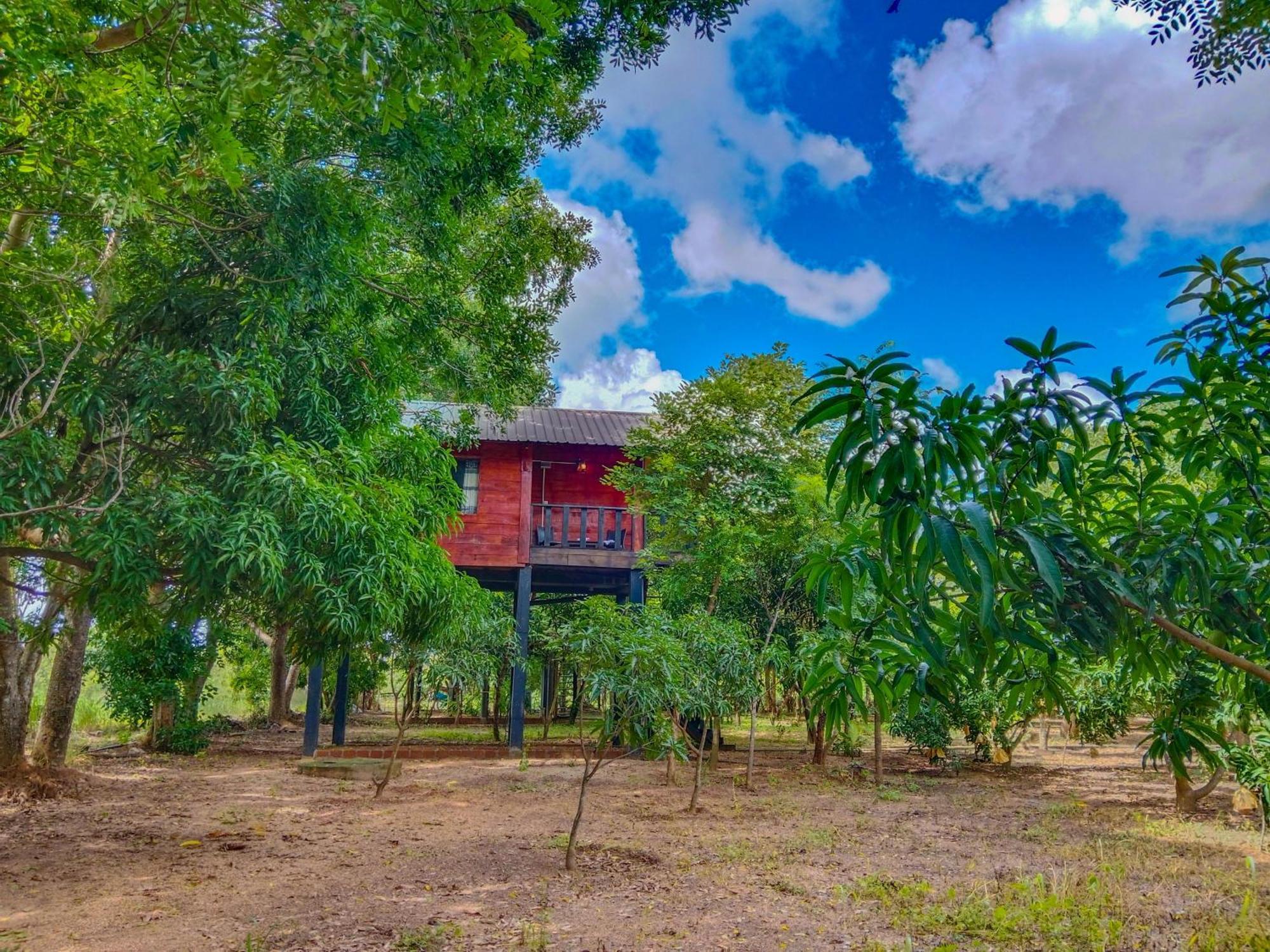 Ceylon Amigos Eco Resort Sigiriya Luaran gambar