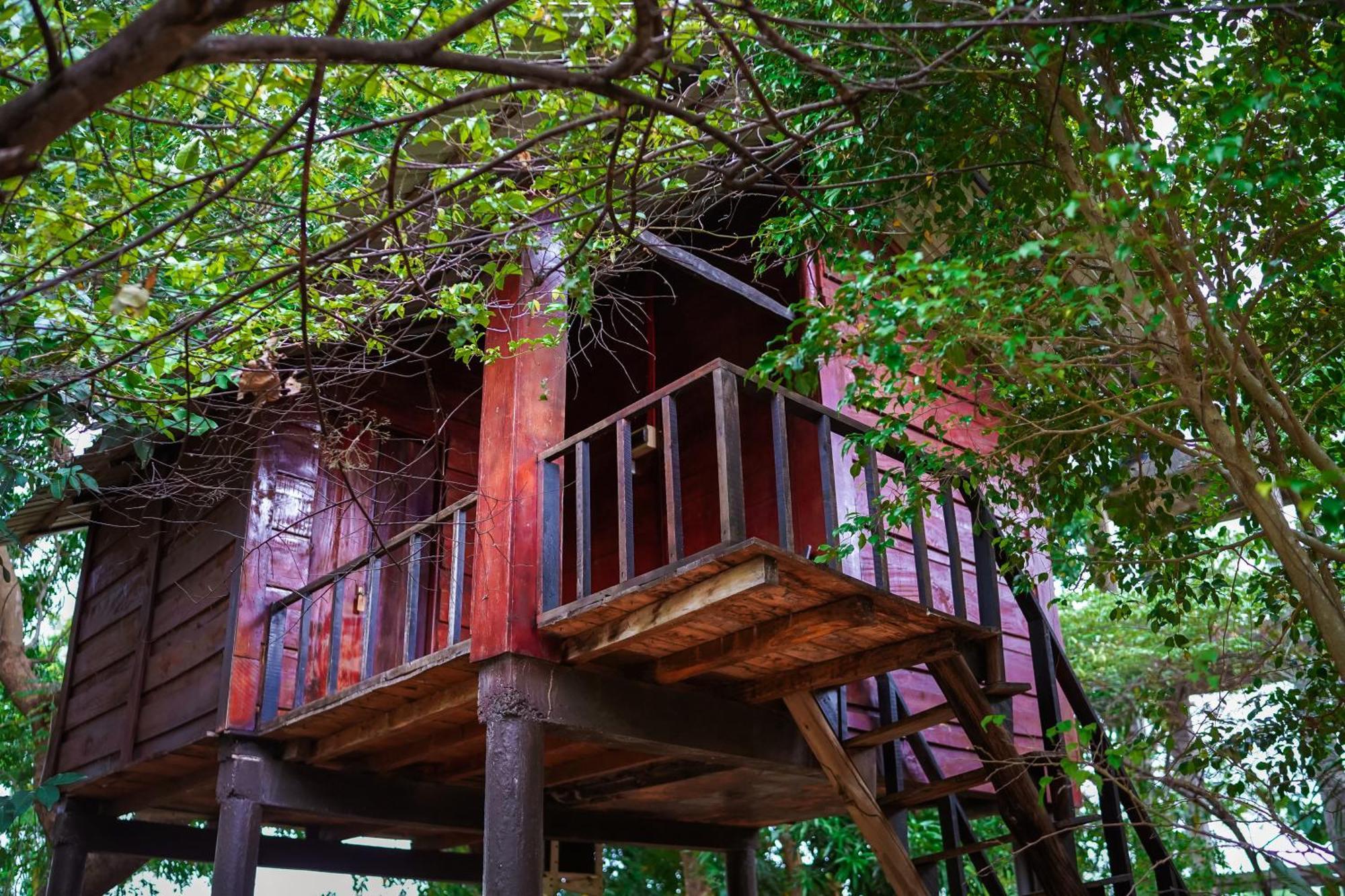 Ceylon Amigos Eco Resort Sigiriya Luaran gambar
