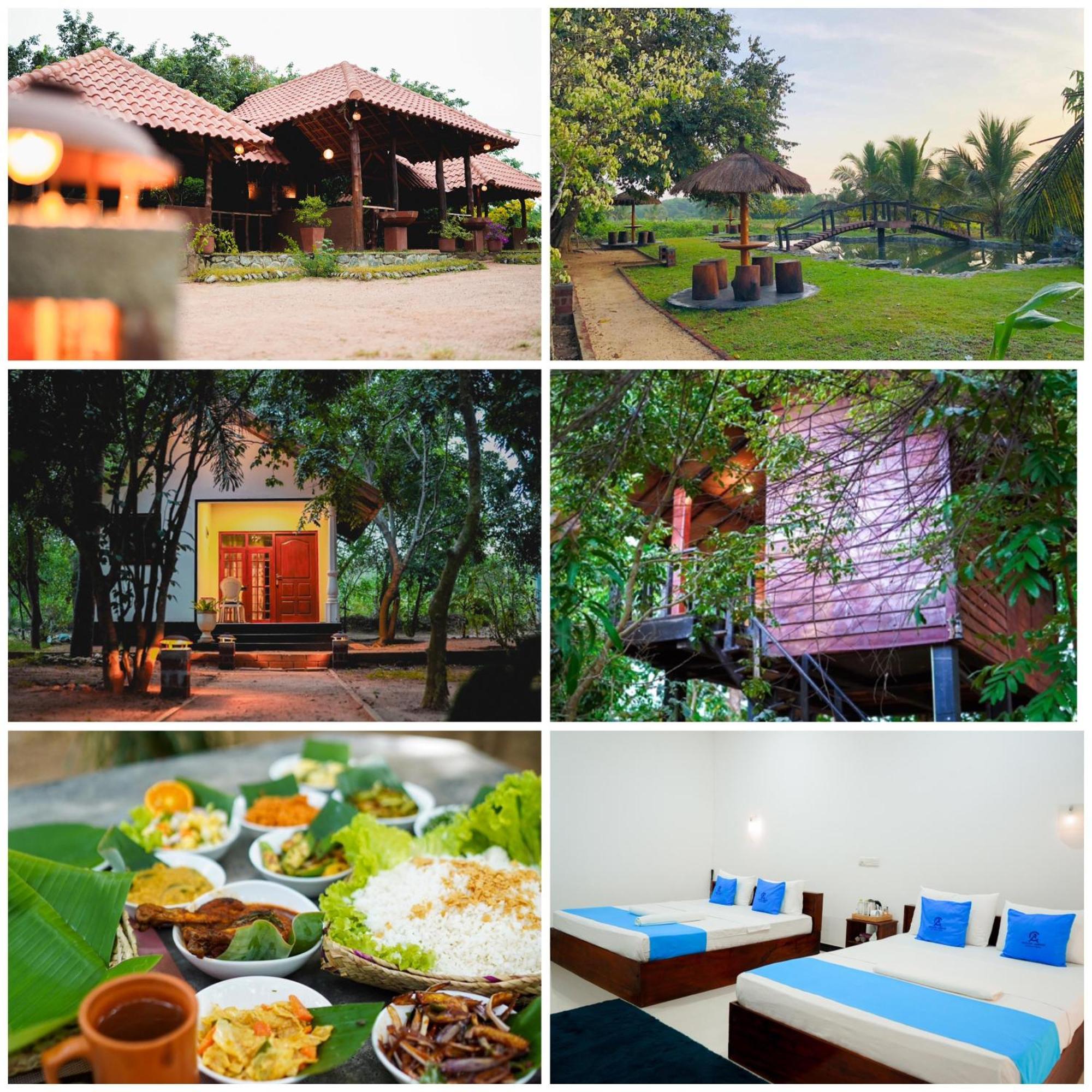 Ceylon Amigos Eco Resort Sigiriya Luaran gambar